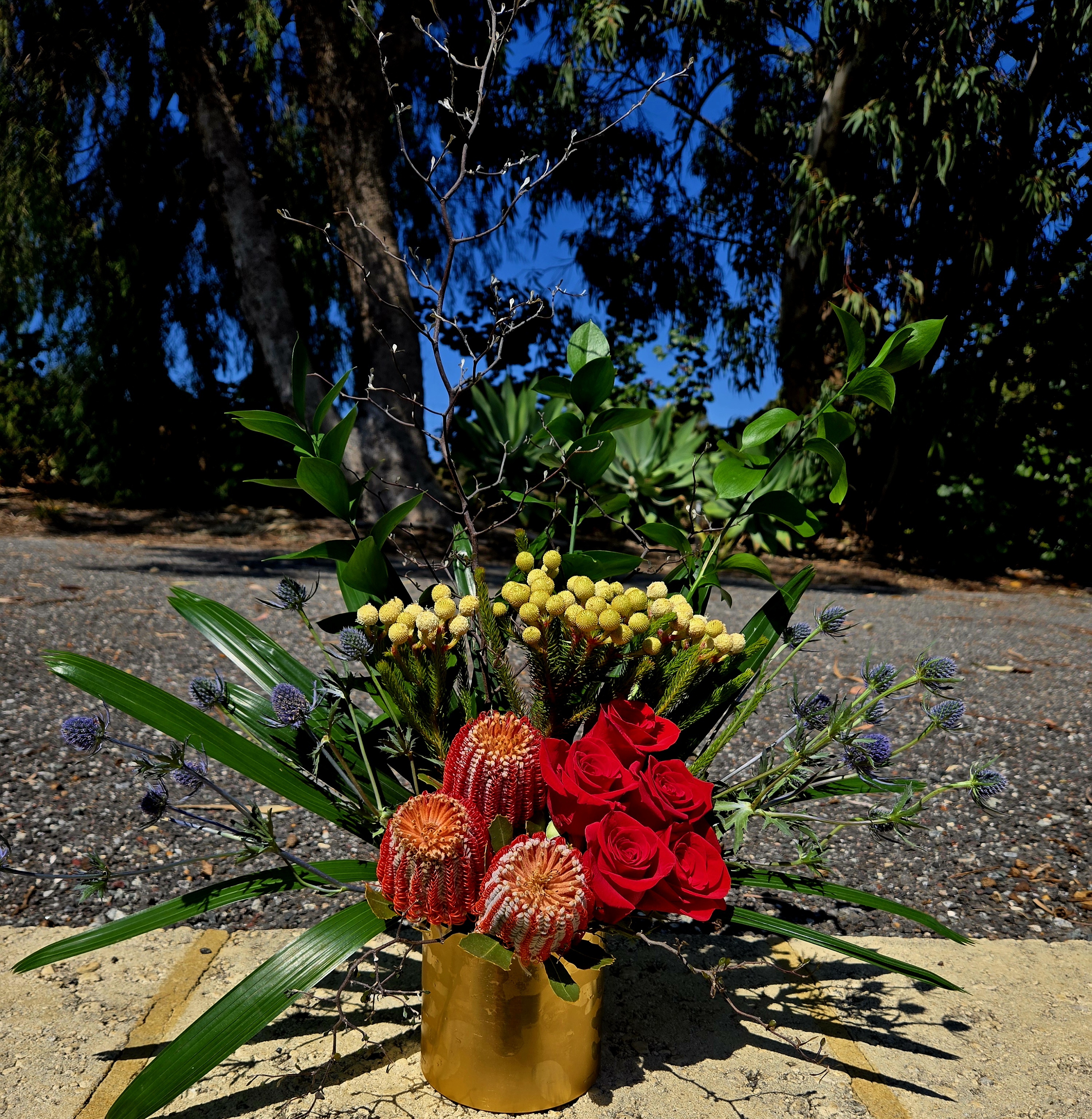 Images The Wild Bunch Florist & Living Gifts