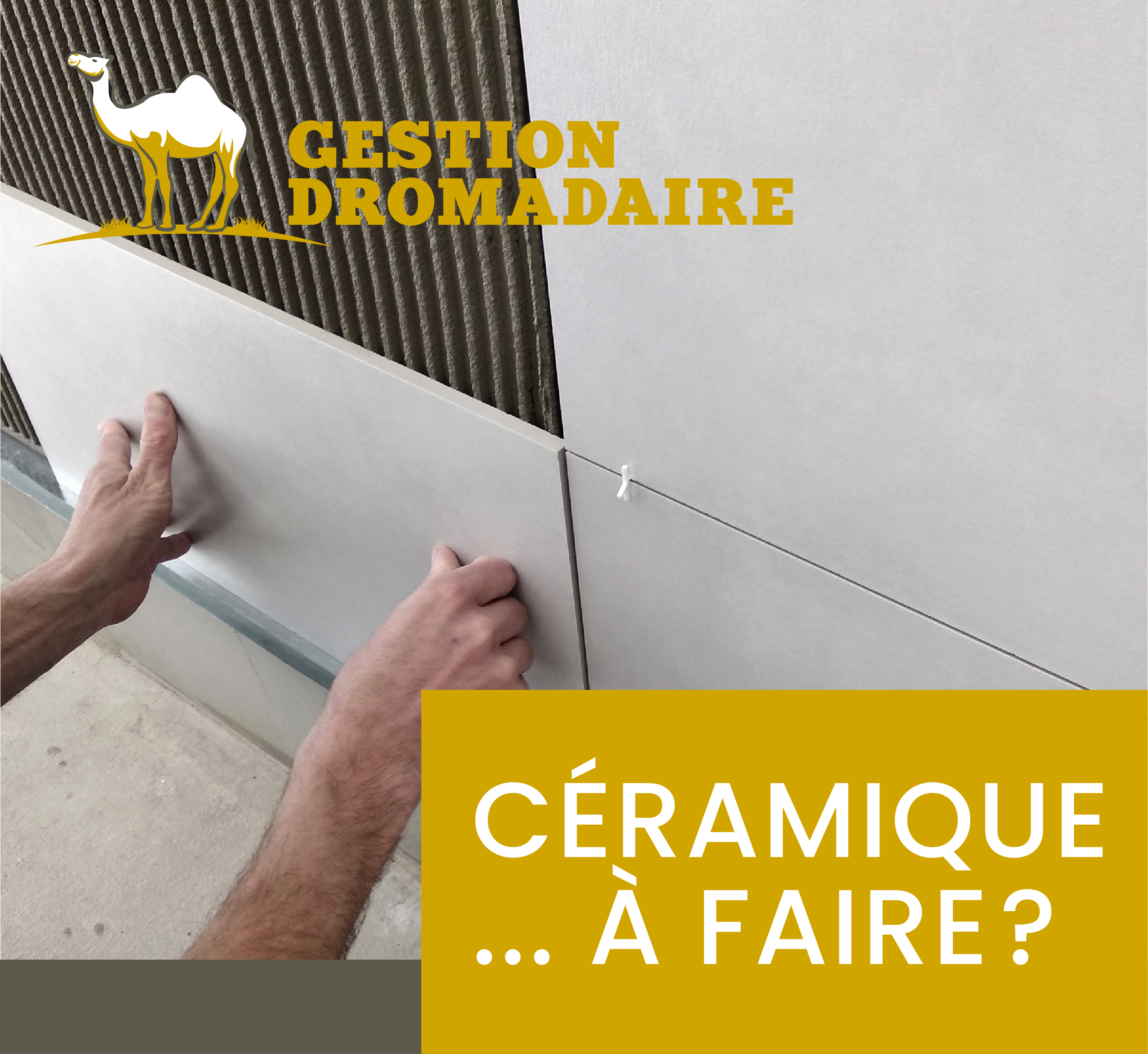 Images Gestion Dromadaire Inc