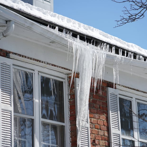 Images Window Hero Raleigh