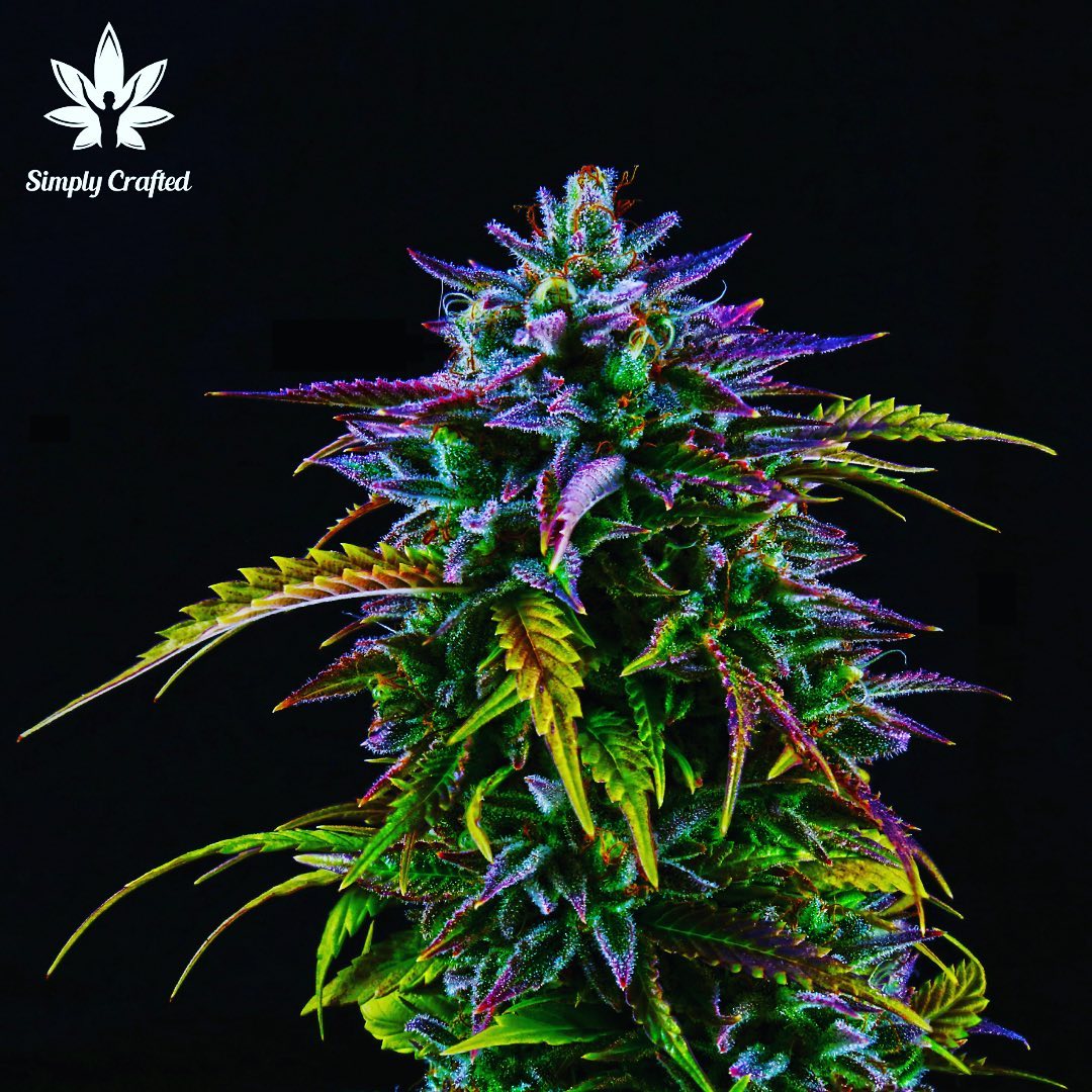 Simply Crafted Image