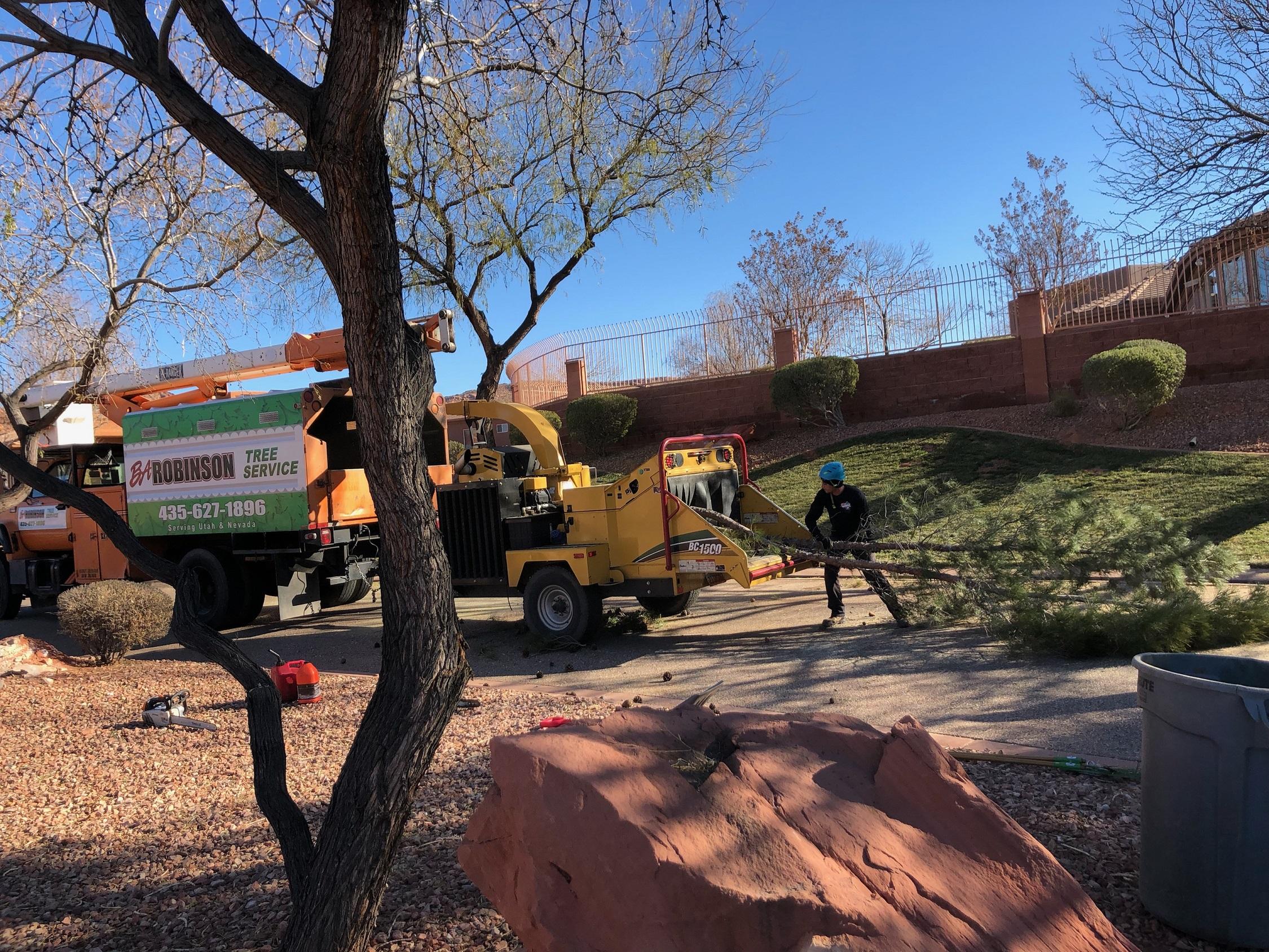 BA Robinson Tree Service Inc.