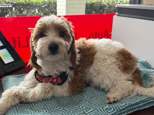 Images Kathy Nash - State Farm Insurance Agent