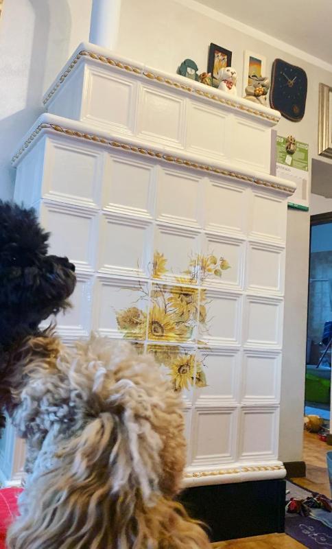 Images Keralpen Alga Stufe