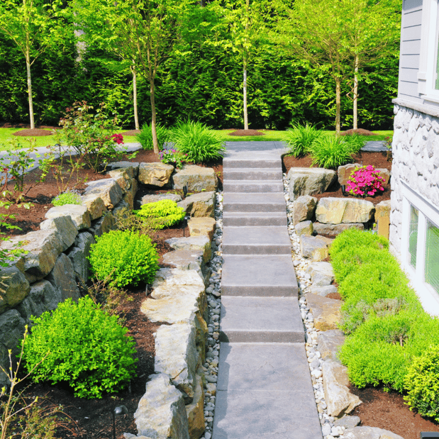 Images Lopez Tree Services and Landscaping