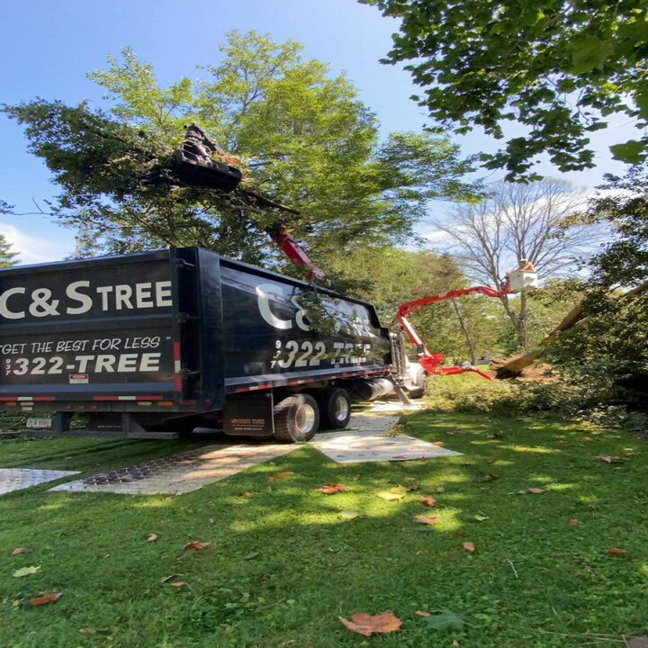 Images C & S Tree Service