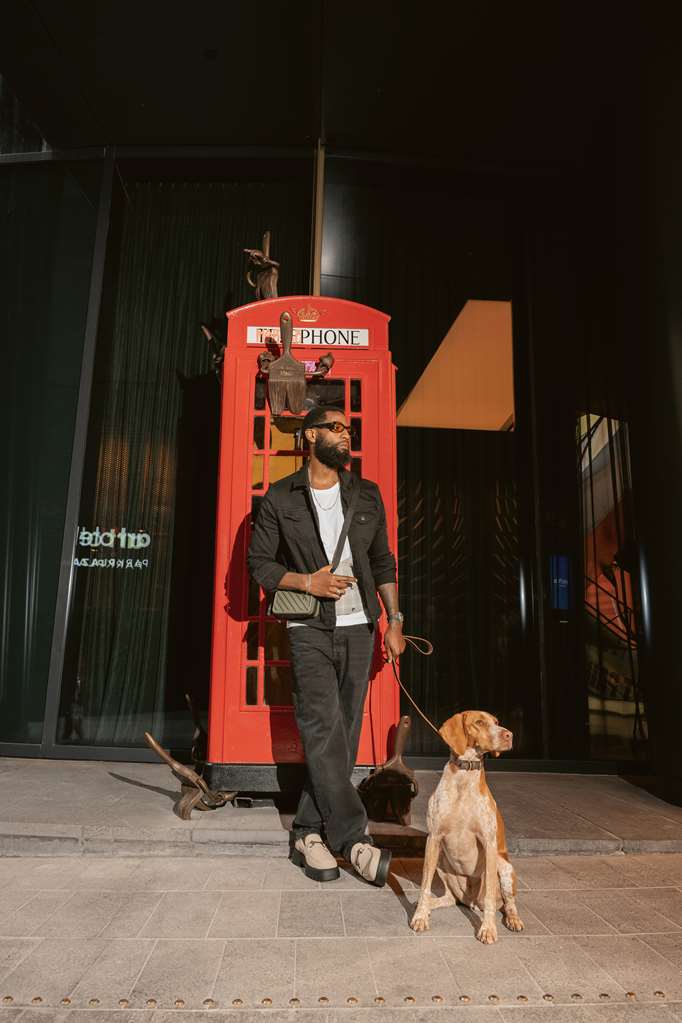 Exterior telephone