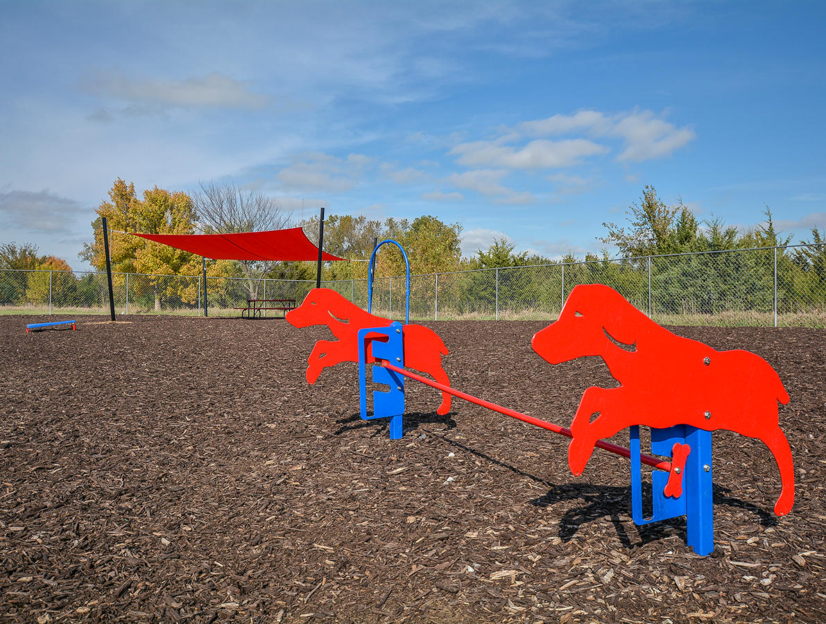 Fenced-In Dog Park