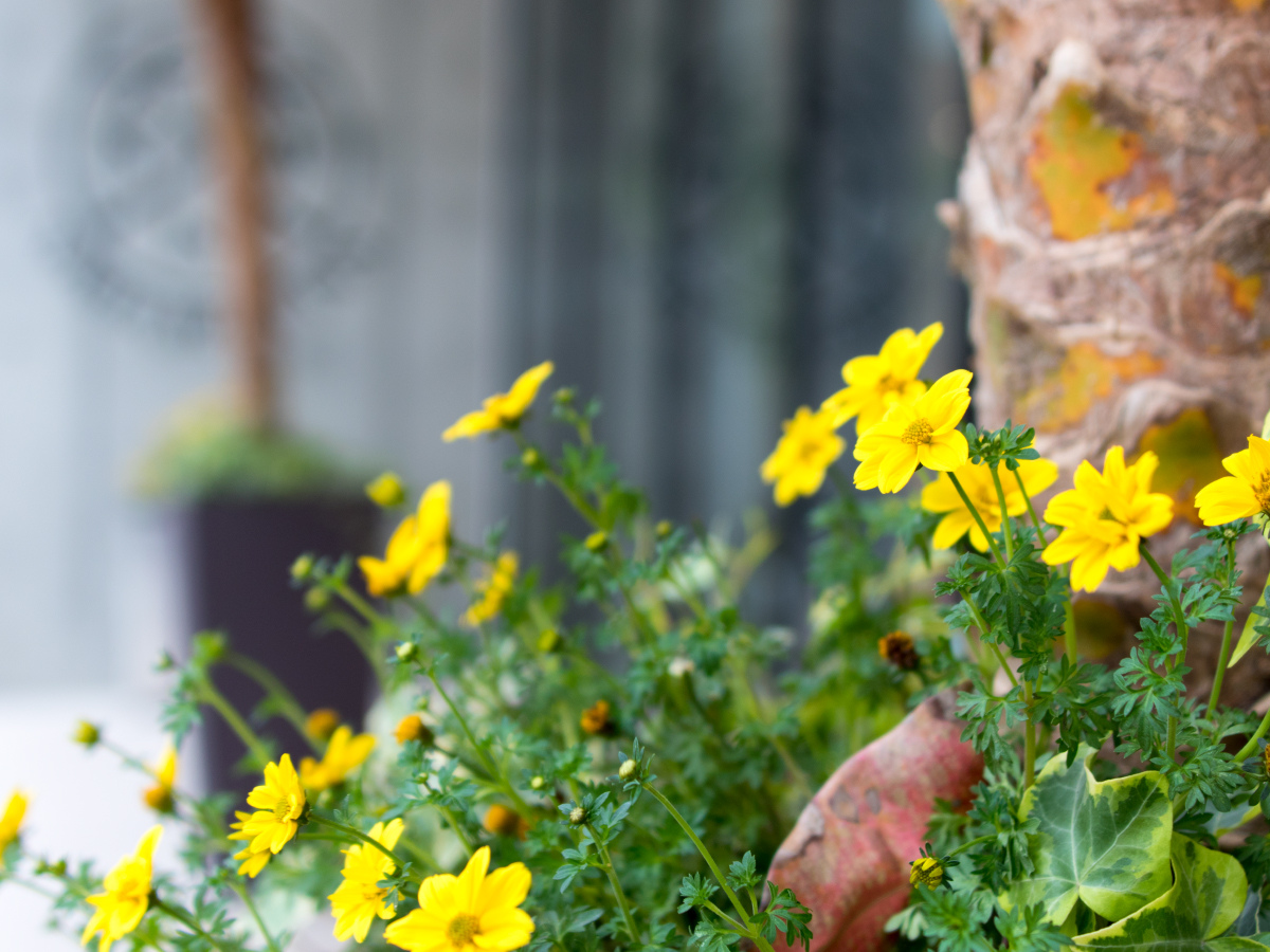 Images 那覇ウエスト・イン