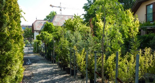 Bild 4 von Garten Weilinger