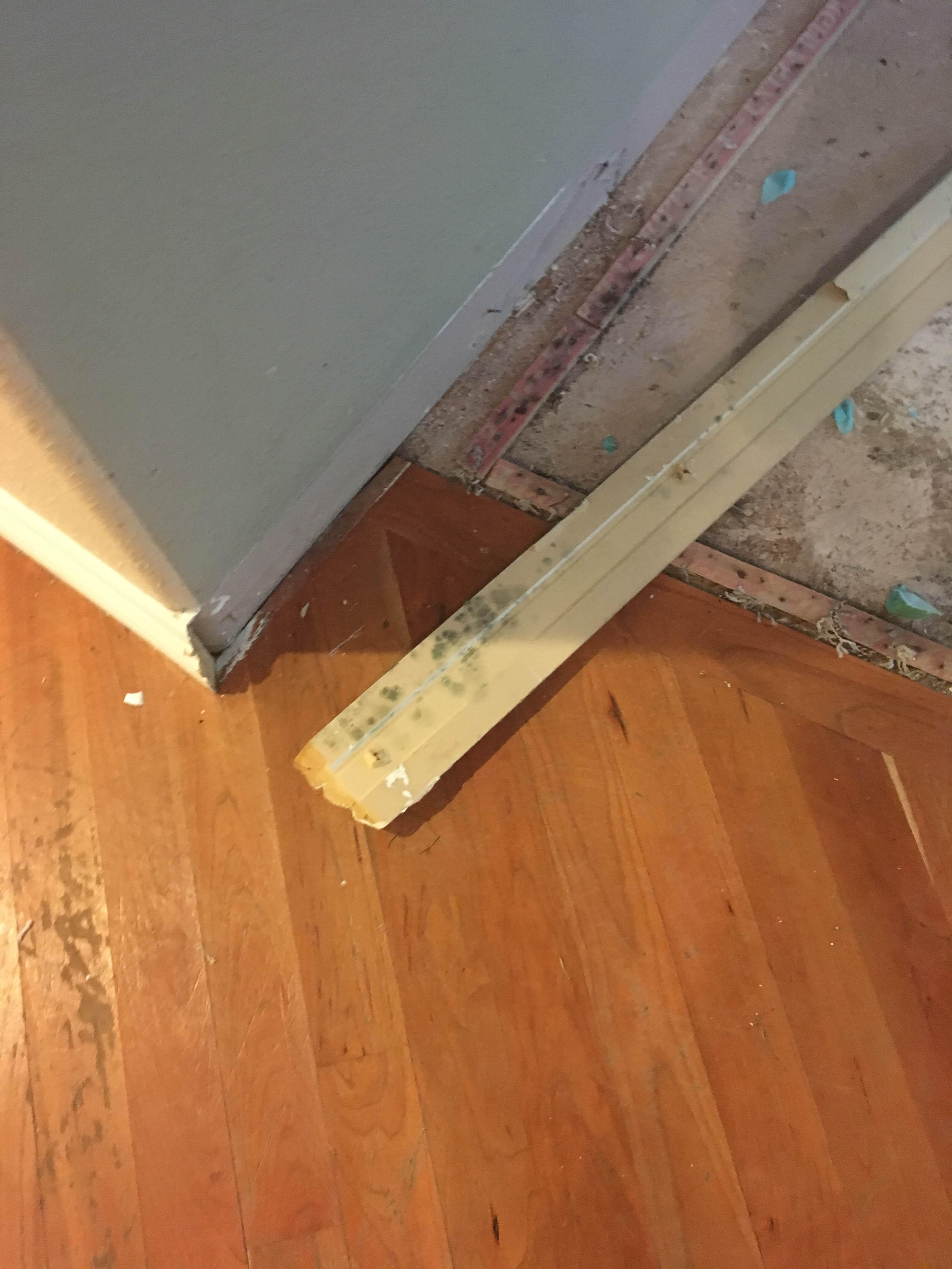 It's possible to discover mold in unexpected places after water damage. Mold will grow and spread if you ignore it. Rely on SERVPRO of Shoreline/Woodinville for all of your mold damage cleanup and remediation needs in Shoreline, WA. Give us a call!