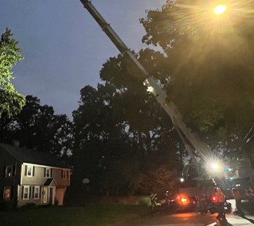 Tree Service and Removal in Chelmsford, MA.