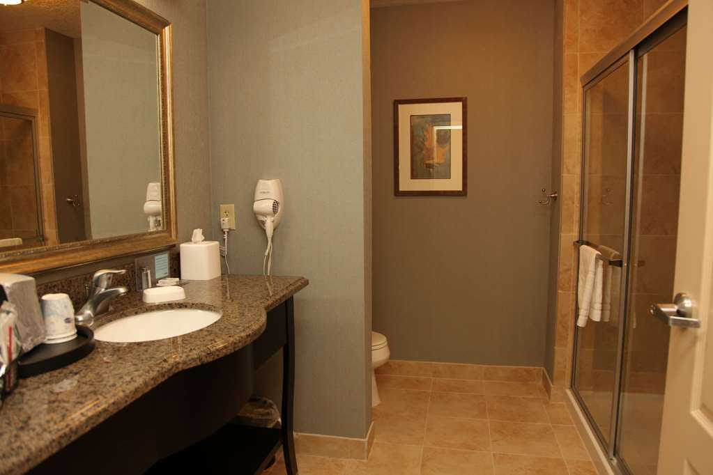 Guest room bath Hampton Inn & Suites Carlsbad Carlsbad (575)725-5700