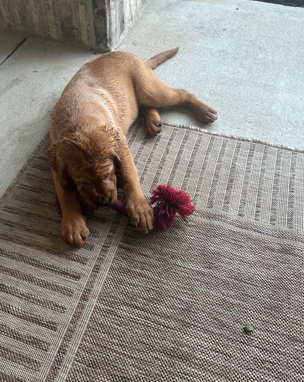 Images Bret Denney - State Farm Insurance Agent