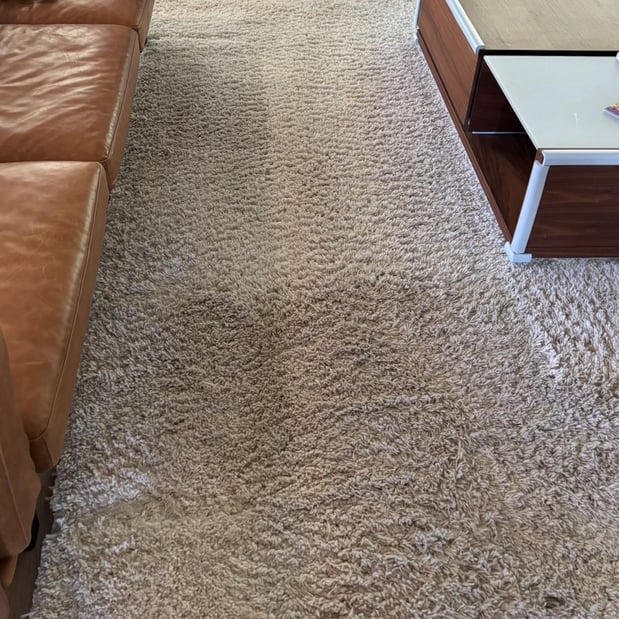 Images Renew Cleaning Services