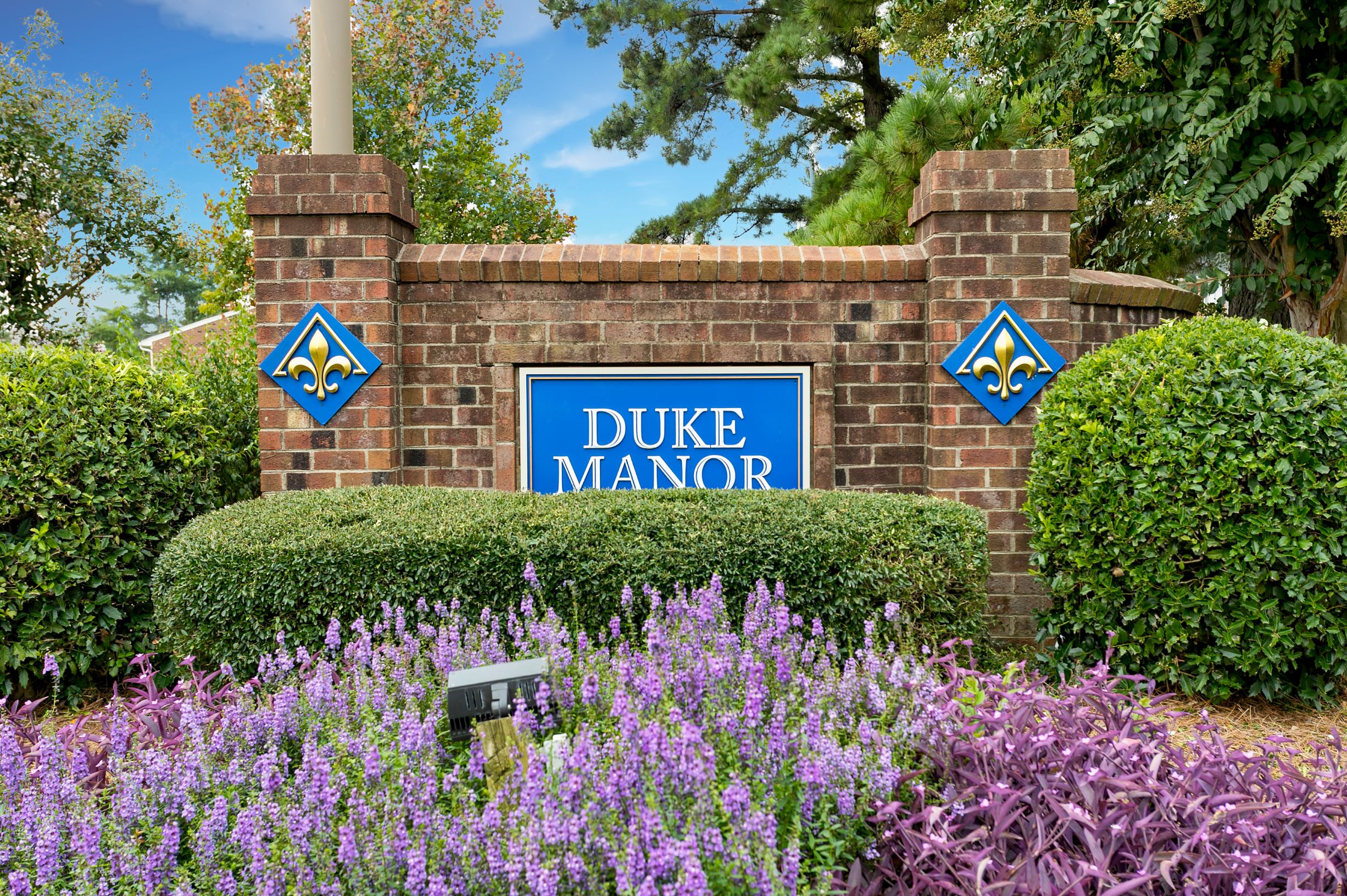 Duke Manor Apartments Photo