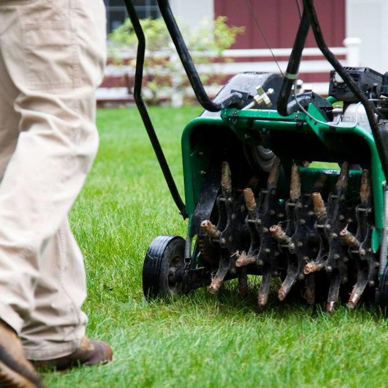 Holey Grounds Lawn Care Photo