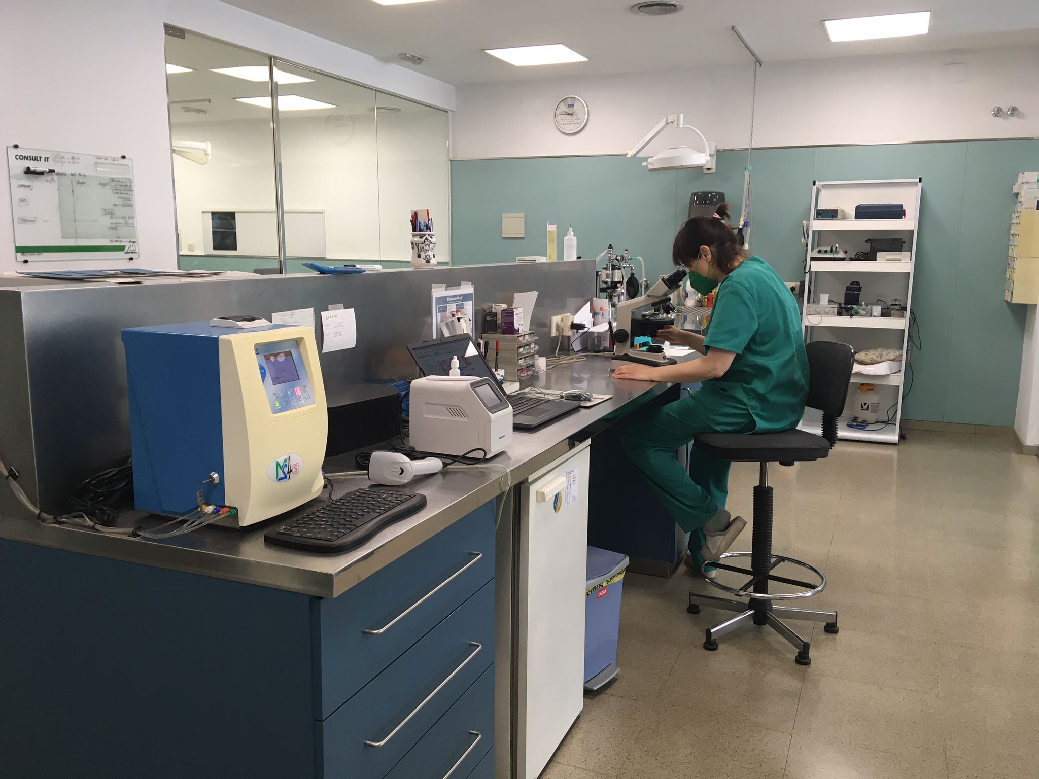 Images Vets Clinica Veterinaria