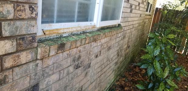 Images Scenic View Pressure Pro