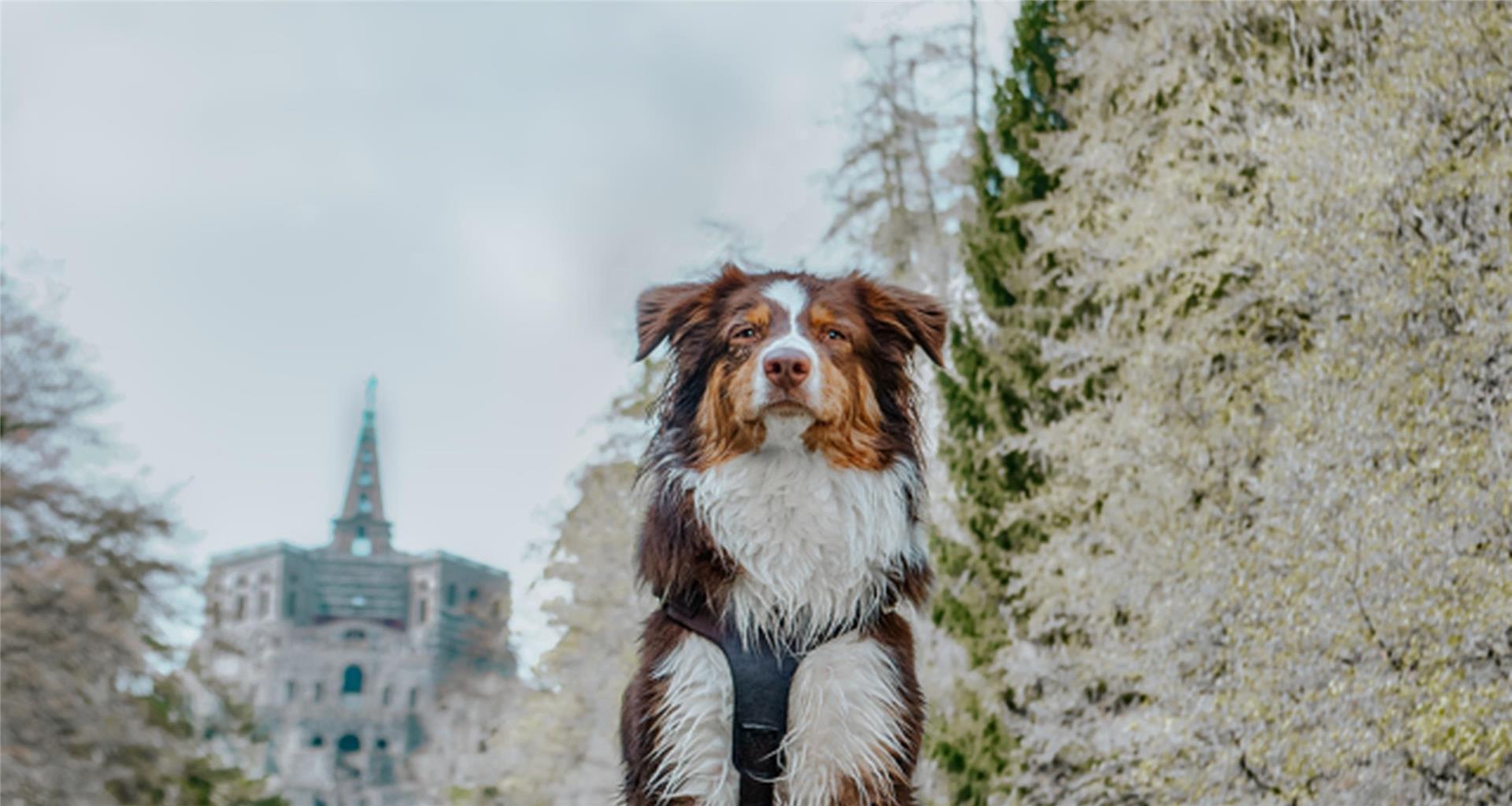 Best Western Hotel Ambassador, Friedrich-Ebert-Allee 1 in Kassel-Baunatal