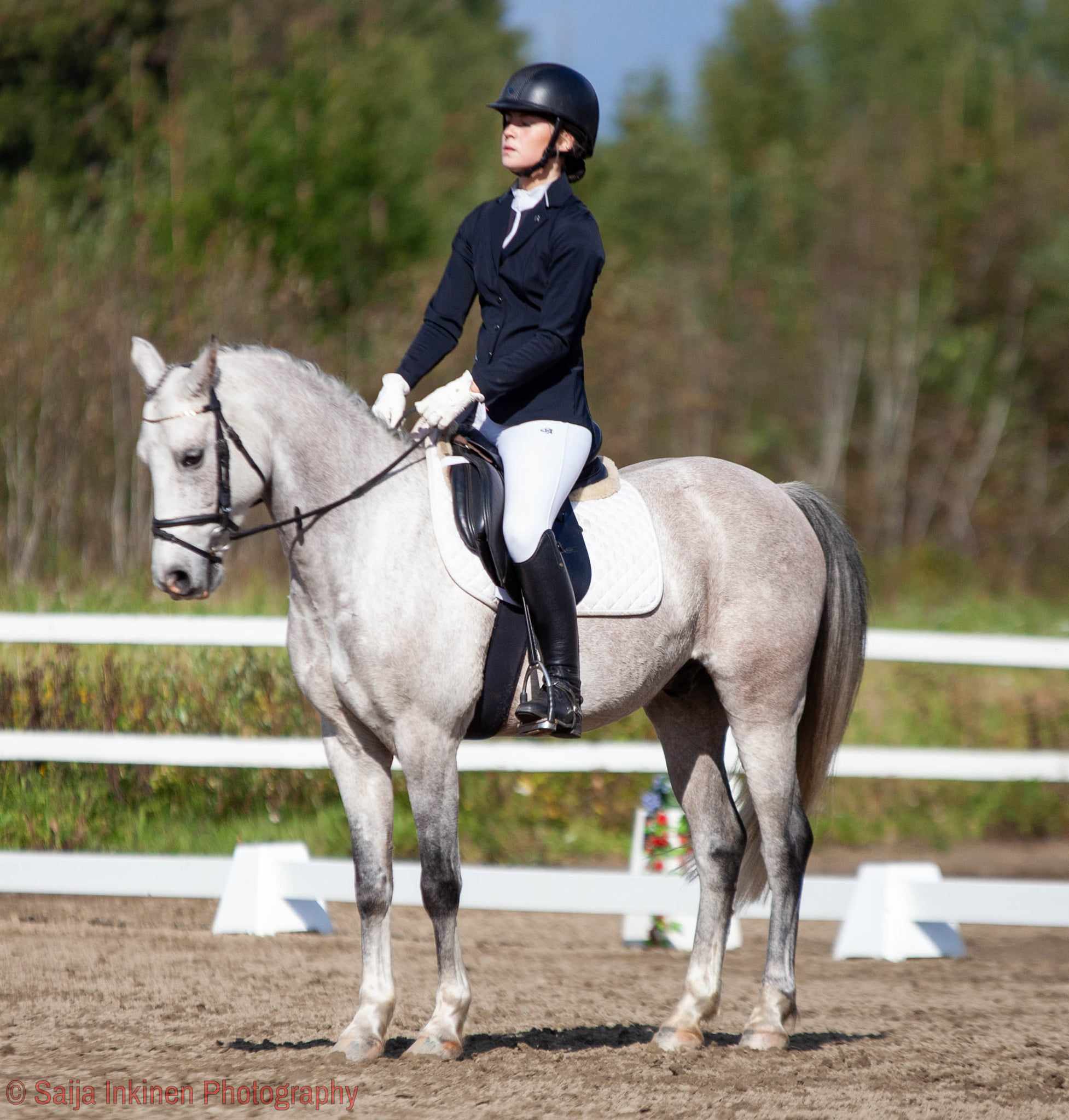 Images Relanderin Ponitalli