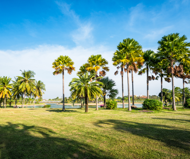 Images Tetyana Hanna, Sarasota Real Estate Agent 〡 KW Coastal Living III