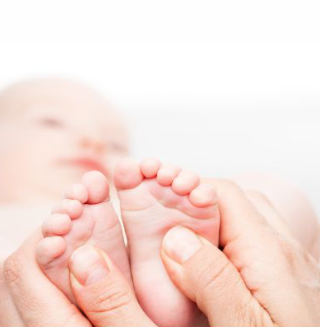 WS Laborbetriebsgesellschaft mbh, Langendembach 72A in Langenorla