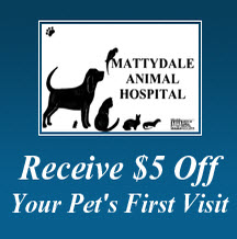 Images Mattydale Animal Hospital