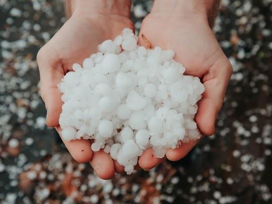 Bild zu Vom Hagel betroffen?