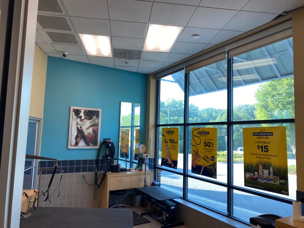 Images Petco Grooming
