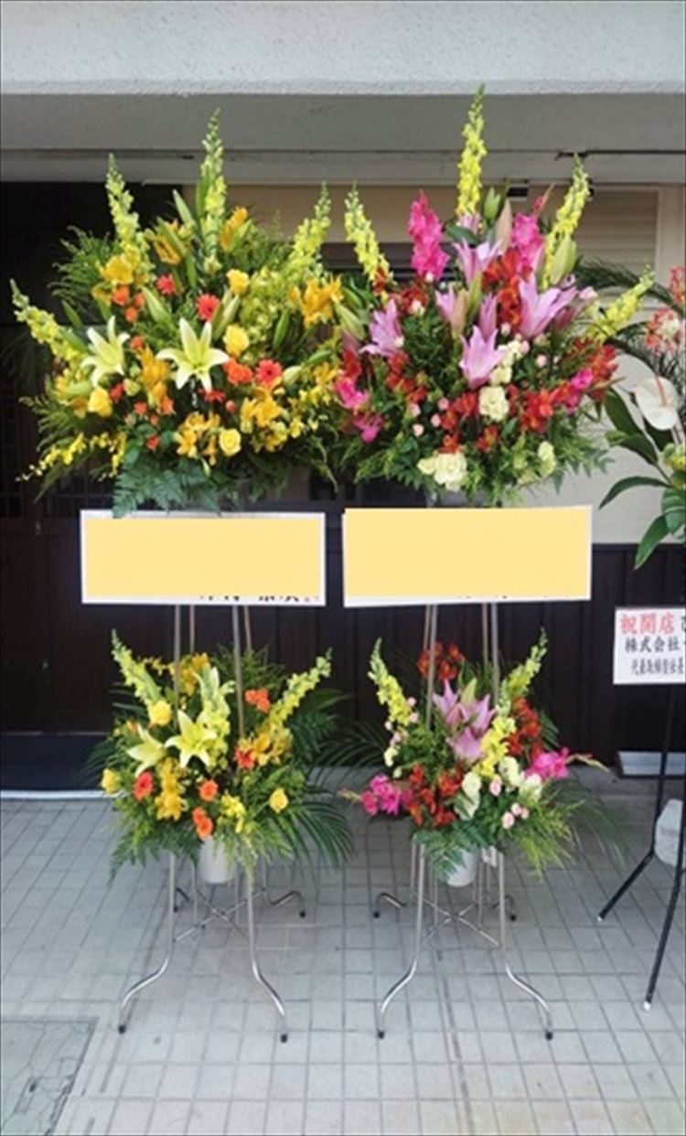 Images 花年