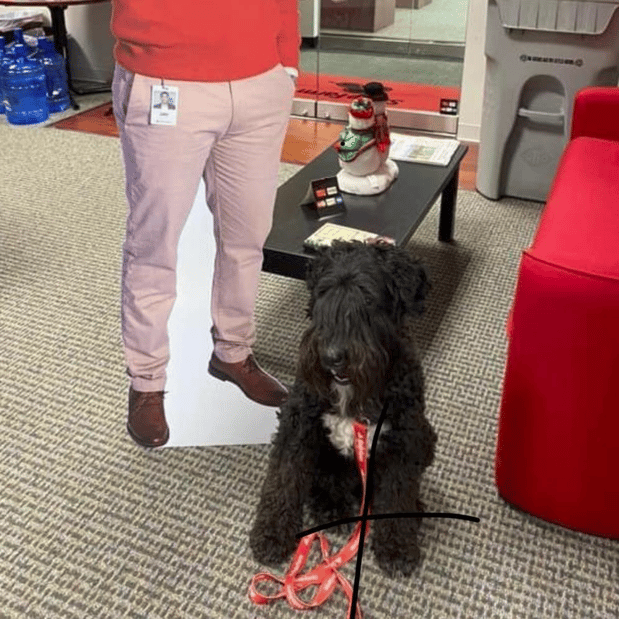 Images Greg Thomas - State Farm Insurance Agent