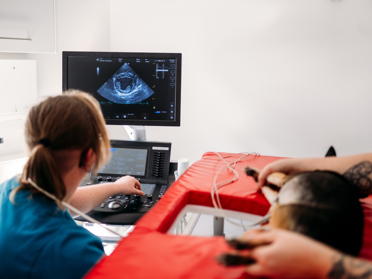 Bilder Tierarzt Vormum Berlin-Mahlsdorf, Tierarztpraxis am Wildrosengehölz