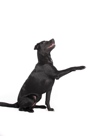 Images VCA Becker Animal Hospital and Pet Resort