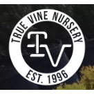 True Vine Nursery