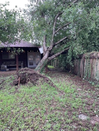 Images Doc's Tree Service
