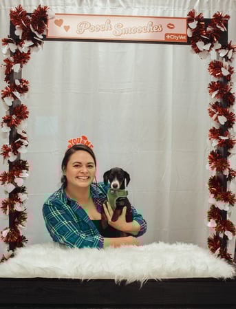 Images CityVet | McKinney