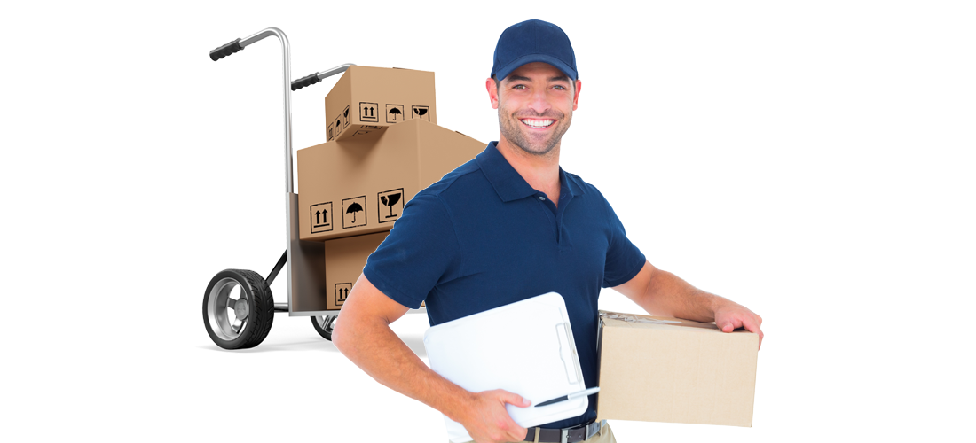 NPG Logistik GmbH, Steinackerstrasse 36 in Urdorf