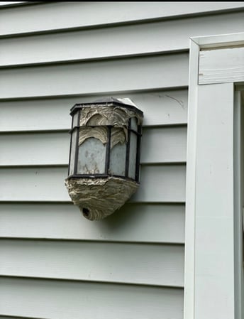 Images All-Pro Pest Control