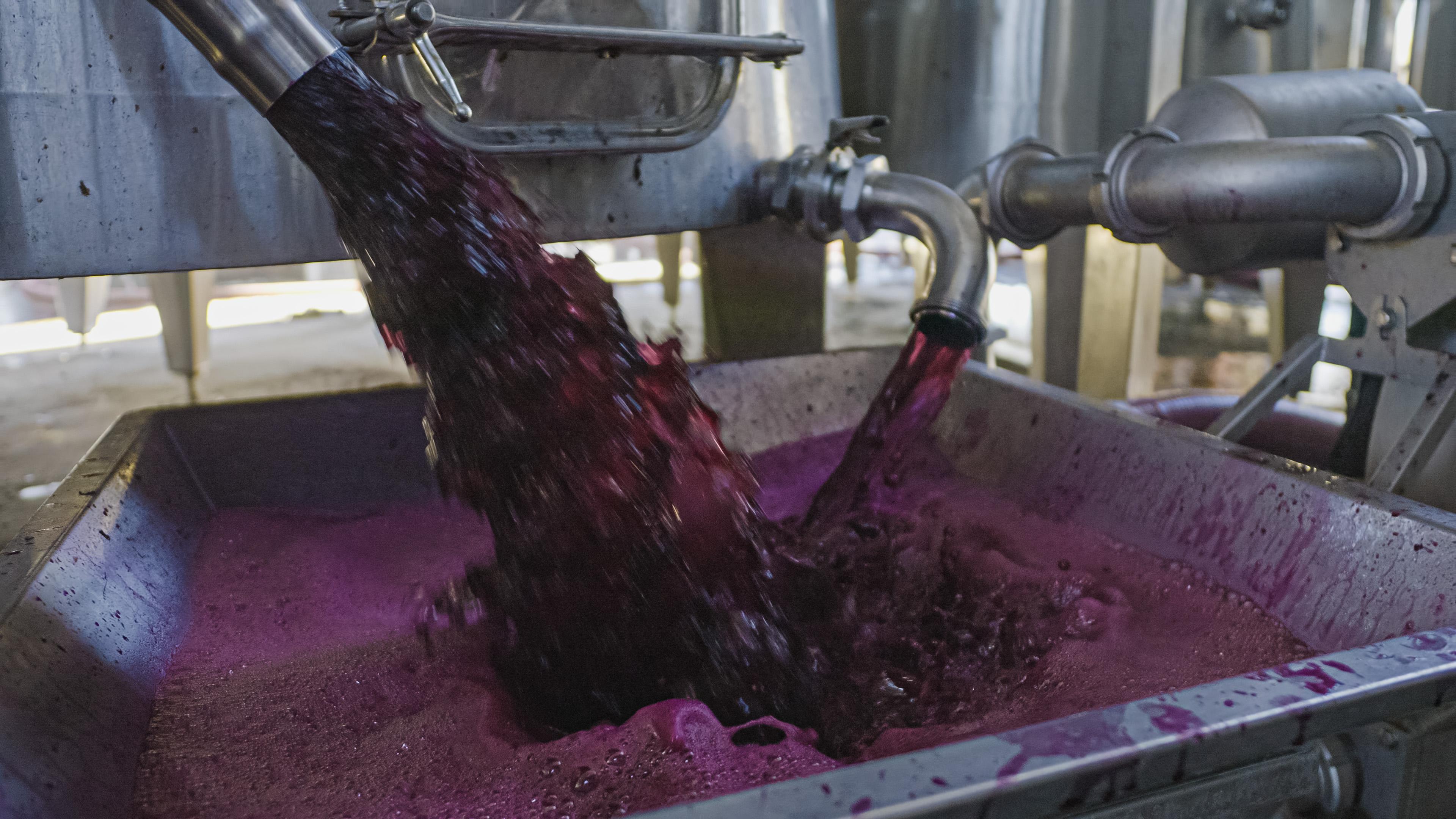 Images Curtis Winery