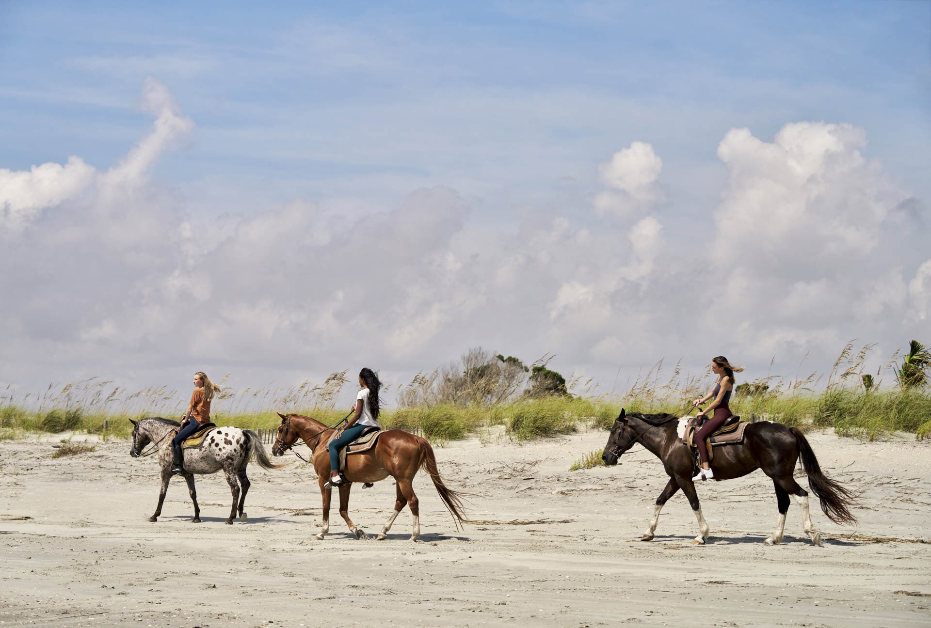 Beach Horseback Ride