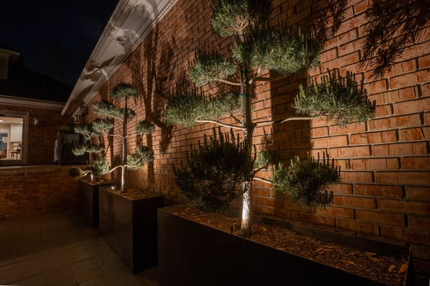 Images Limelight Landscape Lighting