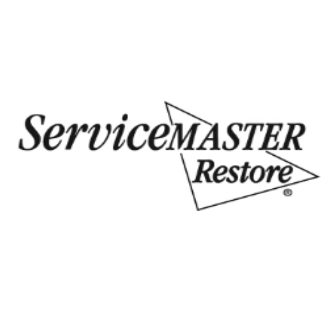 Young's Service Master Logo