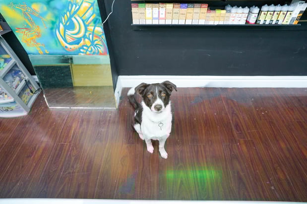 Images Sky High Smoke Shop