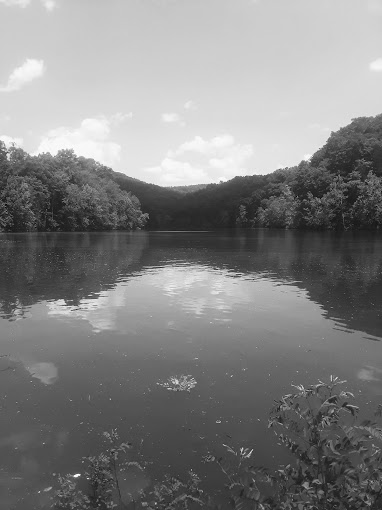 Buck Creek Bungalows Logo