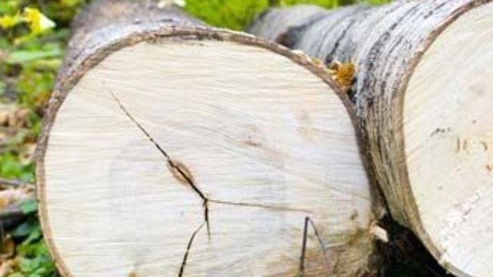 Images Vogt - Maisemointipalvelut