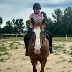 Images Star Ridge Stables