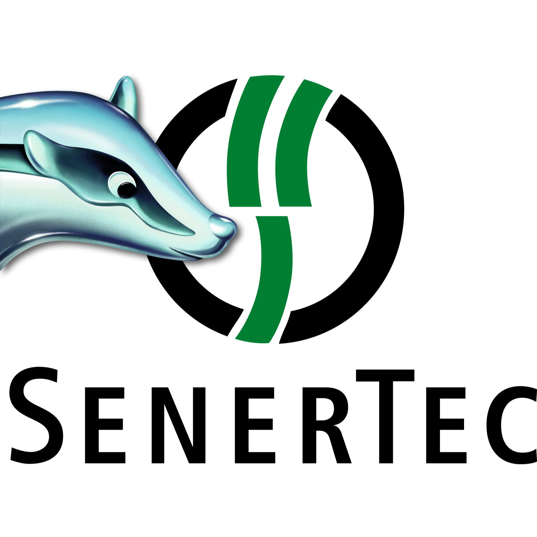 Logo SenerTec-Center Schleswig-Holstein GmbH