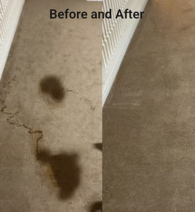 Images Delta Force Clean