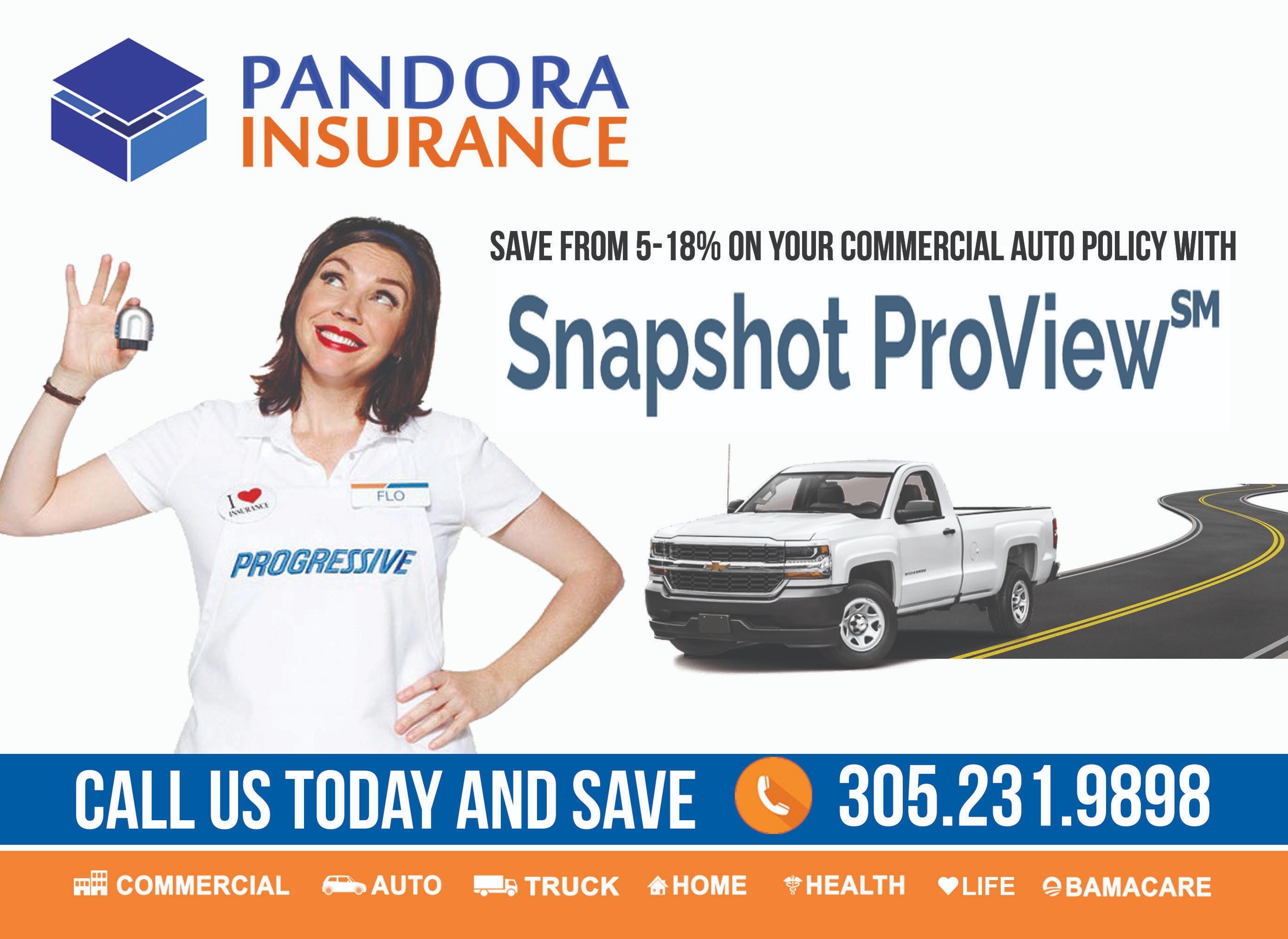 Image 8 | Pandora Insurance