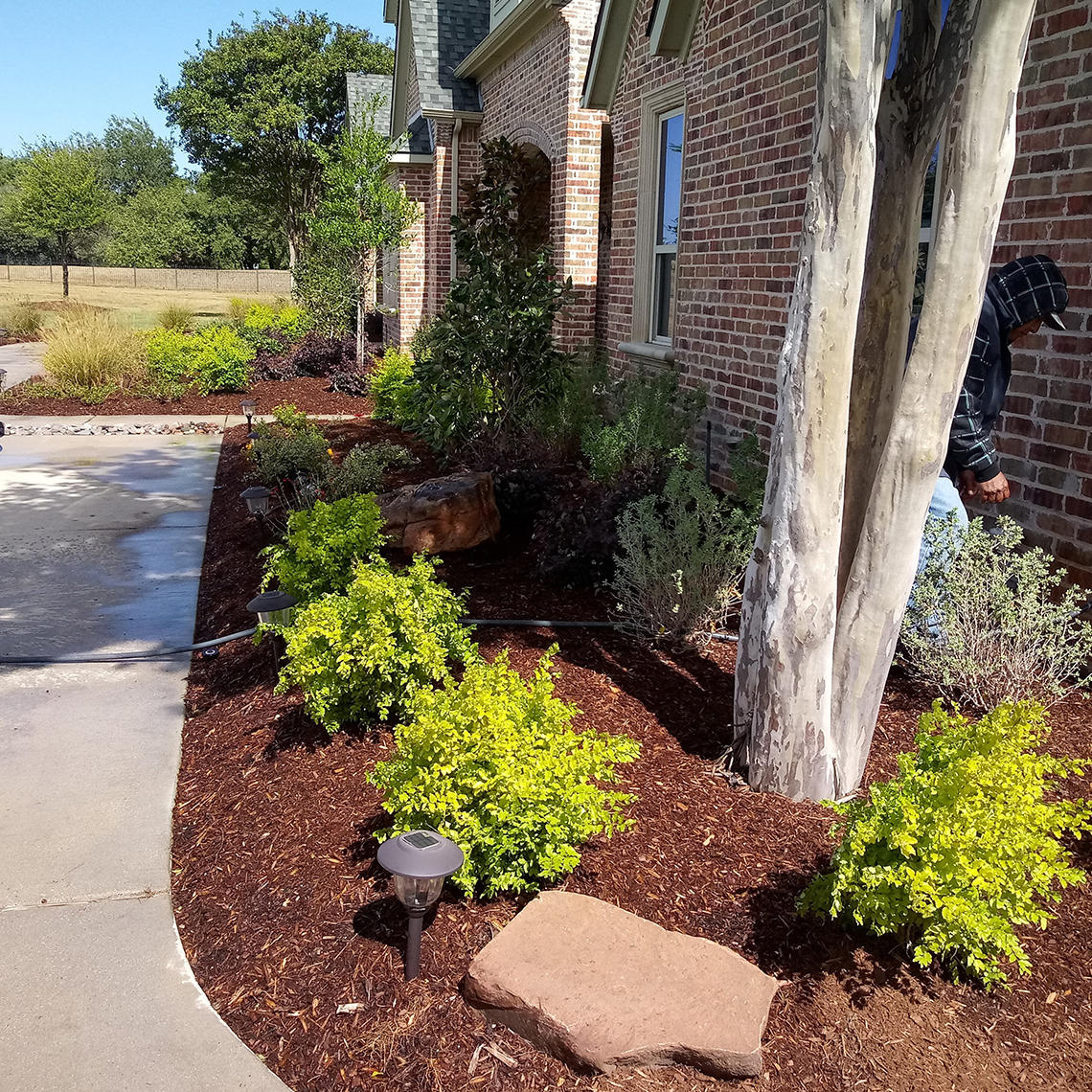 Alvarez Landscaping - Bush Trimming